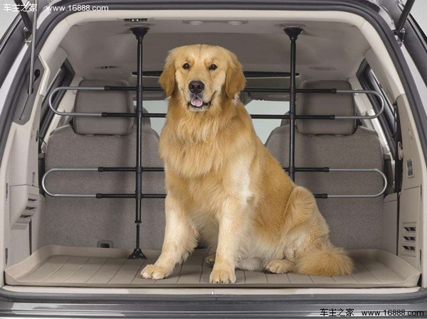 Come portare il tuo cane in un viaggio che dice di andare via quando torni a casa per il nuovo anno?