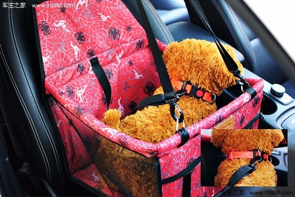 Come portare il tuo cane in un viaggio che dice di andare via quando torni a casa per il nuovo anno?