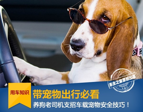 Come portare il tuo cane in un viaggio che dice di andare via quando torni a casa per il nuovo anno?