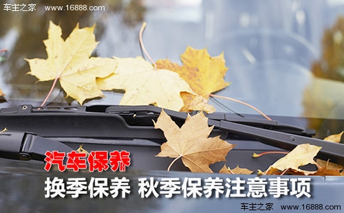 13 Linee guida per la manutenzione dell’auto autunnale