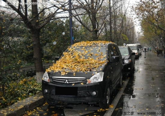In inverno, prestare attenzione alla rimozione tempestiva delle foglie cadute sul veicolo di manutenzione del veicolo In inverno, prestare attenzione alla rimozione tempestiva delle foglie cadute sul veicolo di manutenzione del veicolo