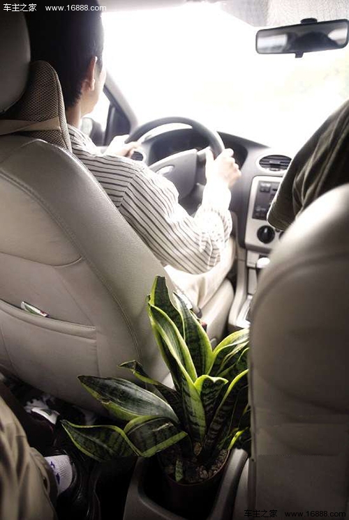 Il nuovo odore di auto influisce sulla salute e riassume sei metodi per rimuovere l'odore Il nuovo odore di auto influisce sulla salute e riassume sei metodi per rimuovere l'odore